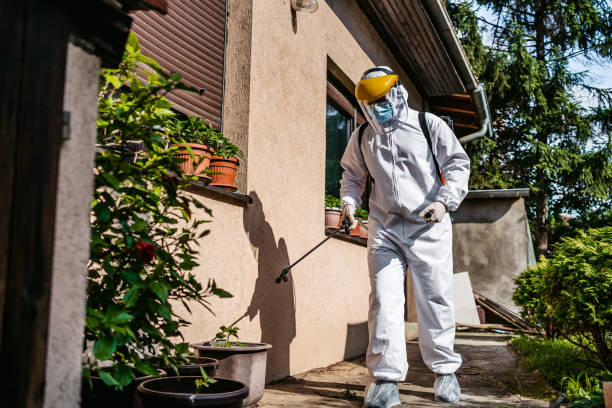 Best Cockroach Control Services  in Brookridge, FL