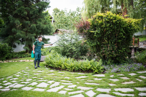 Best Mosquito Control Services  in Brookridge, FL