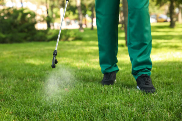 Best Bed Bug Extermination  in Brookridge, FL
