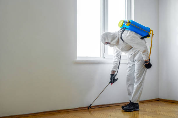 Best Pest Control Near Me  in Brookridge, FL