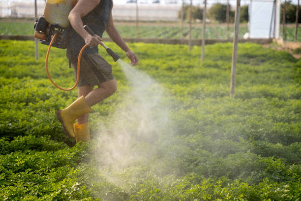 Best Residential Pest Control  in Brookridge, FL