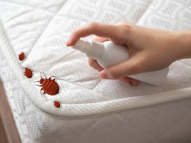 Best Pest Removal Services  in Brookridge, FL