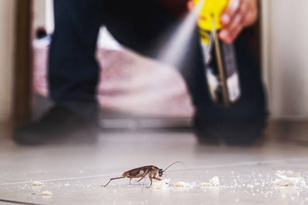 Pest Prevention Services in Brookridge, FL
