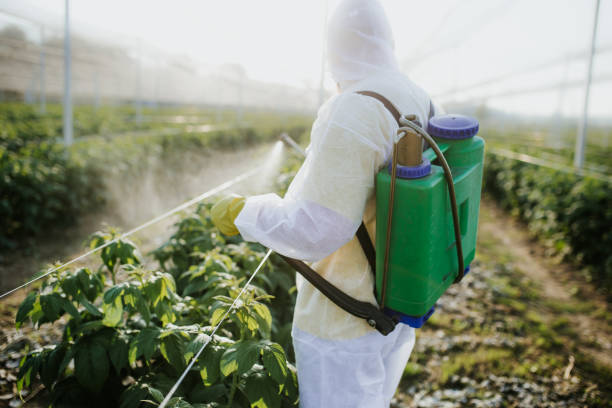 Best Affordable Exterminators  in Brookridge, FL